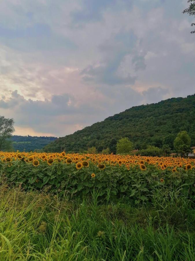 Ca' Dei Berici - Residence Ad Arcugnano Grancare エクステリア 写真