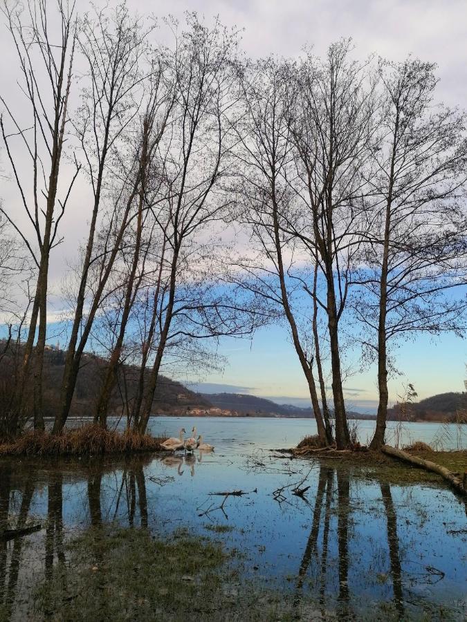 Ca' Dei Berici - Residence Ad Arcugnano Grancare エクステリア 写真