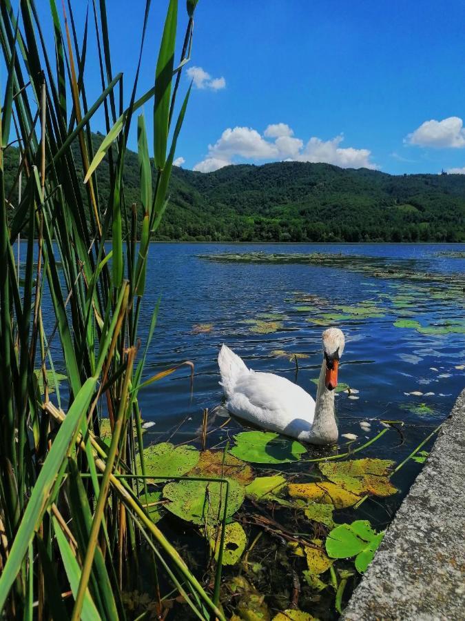 Ca' Dei Berici - Residence Ad Arcugnano Grancare エクステリア 写真