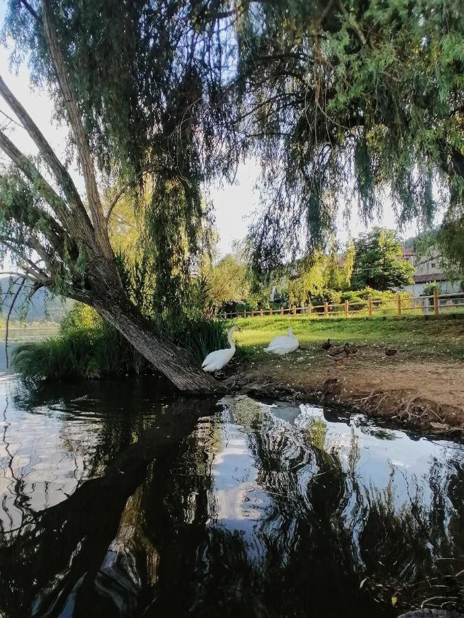 Ca' Dei Berici - Residence Ad Arcugnano Grancare エクステリア 写真