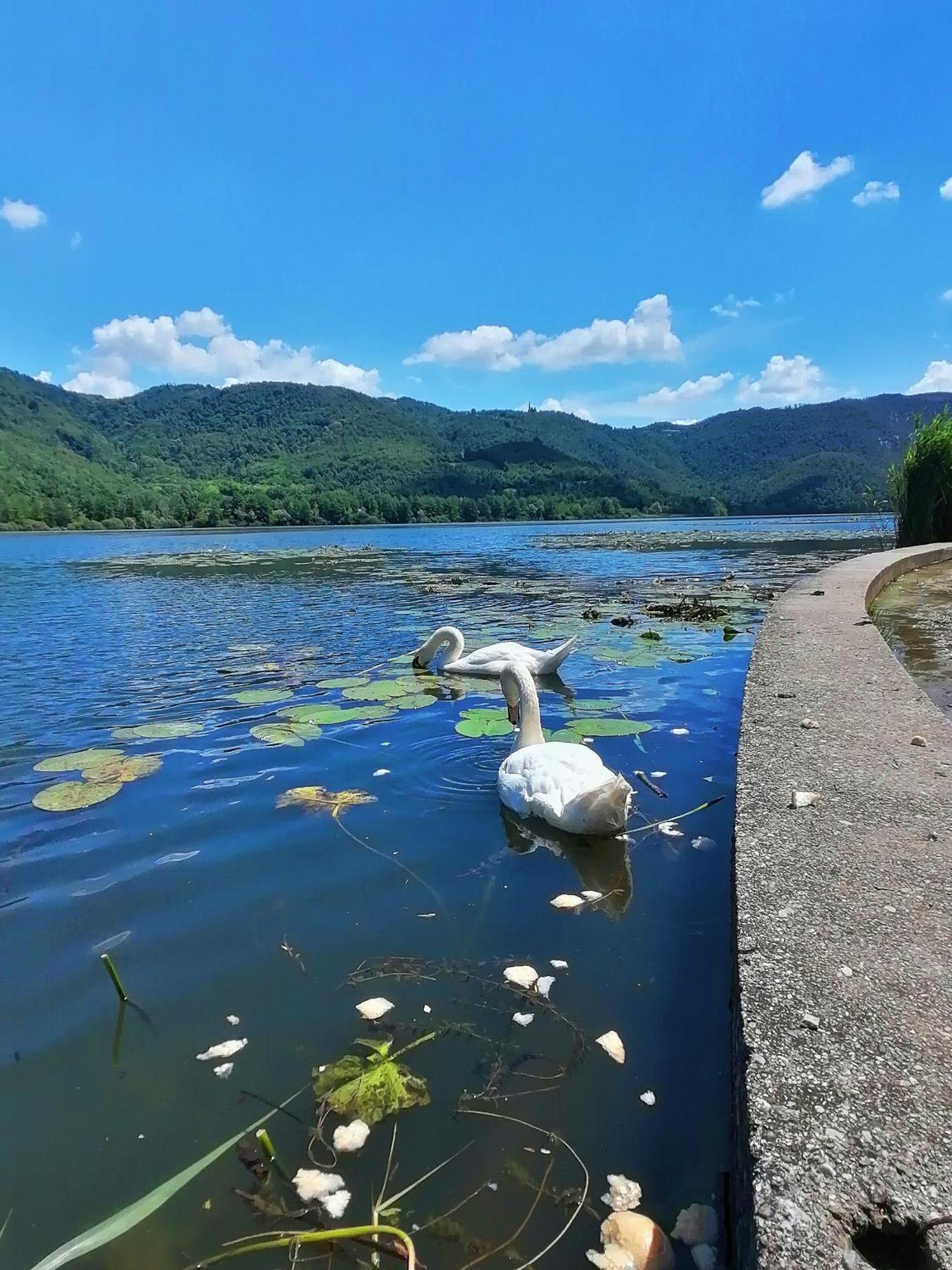 Ca' Dei Berici - Residence Ad Arcugnano Grancare 部屋 写真
