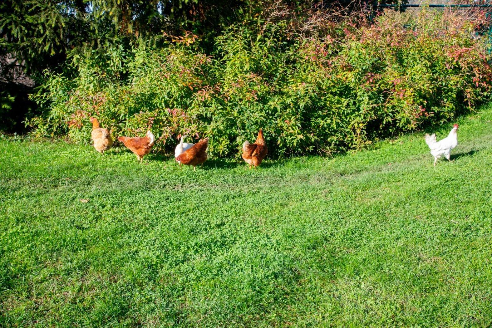 Ca' Dei Berici - Residence Ad Arcugnano Grancare エクステリア 写真